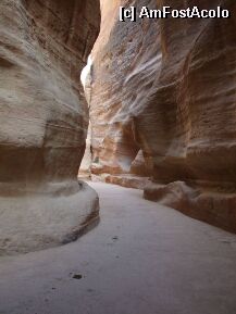 [P02] 'The siq' – un canion lung de 1,2 km, cu pereti de stanca ce ajung la 80 m inaltime, ingustandu-se in unele zone pana la 3 m latime ! Culorile stancilor sunt ireale, nuante de rosu, roz, amestecandu-se cu alb, albastru, galben. » foto by ergon
 - 
<span class="allrVoted glyphicon glyphicon-heart hidden" id="av5182"></span>
<a class="m-l-10 hidden" id="sv5182" onclick="voting_Foto_DelVot(,5182,1615)" role="button">șterge vot <span class="glyphicon glyphicon-remove"></span></a>
<a id="v95182" class=" c-red"  onclick="voting_Foto_SetVot(5182)" role="button"><span class="glyphicon glyphicon-heart-empty"></span> <b>LIKE</b> = Votează poza</a> <img class="hidden"  id="f5182W9" src="/imagini/loader.gif" border="0" /><span class="AjErrMes hidden" id="e5182ErM"></span>