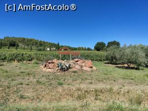 [P47] Reclamă către una din zecile de mici crame din zonă » foto by crismis
 - 
<span class="allrVoted glyphicon glyphicon-heart hidden" id="av1523360"></span>
<a class="m-l-10 hidden" id="sv1523360" onclick="voting_Foto_DelVot(,1523360,1628)" role="button">șterge vot <span class="glyphicon glyphicon-remove"></span></a>
<a id="v91523360" class=" c-red"  onclick="voting_Foto_SetVot(1523360)" role="button"><span class="glyphicon glyphicon-heart-empty"></span> <b>LIKE</b> = Votează poza</a> <img class="hidden"  id="f1523360W9" src="/imagini/loader.gif" border="0" /><span class="AjErrMes hidden" id="e1523360ErM"></span>