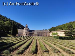 [P07] Abația Notre-Dame de Senanque » foto by crismis
 - 
<span class="allrVoted glyphicon glyphicon-heart hidden" id="av1523320"></span>
<a class="m-l-10 hidden" id="sv1523320" onclick="voting_Foto_DelVot(,1523320,1628)" role="button">șterge vot <span class="glyphicon glyphicon-remove"></span></a>
<a id="v91523320" class=" c-red"  onclick="voting_Foto_SetVot(1523320)" role="button"><span class="glyphicon glyphicon-heart-empty"></span> <b>LIKE</b> = Votează poza</a> <img class="hidden"  id="f1523320W9" src="/imagini/loader.gif" border="0" /><span class="AjErrMes hidden" id="e1523320ErM"></span>