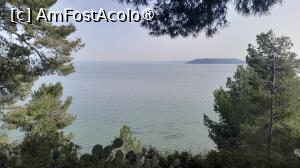 [P11] Istres » foto by Yolanda
 - 
<span class="allrVoted glyphicon glyphicon-heart hidden" id="av1525237"></span>
<a class="m-l-10 hidden" id="sv1525237" onclick="voting_Foto_DelVot(,1525237,1628)" role="button">șterge vot <span class="glyphicon glyphicon-remove"></span></a>
<a id="v91525237" class=" c-red"  onclick="voting_Foto_SetVot(1525237)" role="button"><span class="glyphicon glyphicon-heart-empty"></span> <b>LIKE</b> = Votează poza</a> <img class="hidden"  id="f1525237W9" src="/imagini/loader.gif" border="0" /><span class="AjErrMes hidden" id="e1525237ErM"></span>