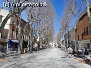 [P15] Alees Jaures flancata de platani » foto by Yolanda
 - 
<span class="allrVoted glyphicon glyphicon-heart hidden" id="av1525241"></span>
<a class="m-l-10 hidden" id="sv1525241" onclick="voting_Foto_DelVot(,1525241,1628)" role="button">șterge vot <span class="glyphicon glyphicon-remove"></span></a>
<a id="v91525241" class=" c-red"  onclick="voting_Foto_SetVot(1525241)" role="button"><span class="glyphicon glyphicon-heart-empty"></span> <b>LIKE</b> = Votează poza</a> <img class="hidden"  id="f1525241W9" src="/imagini/loader.gif" border="0" /><span class="AjErrMes hidden" id="e1525241ErM"></span>