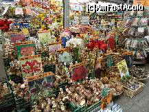 [P03] Amsterdam- PIATA DE FLORI- radacini de tot felul de plante care mai de care mai frumoase » foto by kmy
 - 
<span class="allrVoted glyphicon glyphicon-heart hidden" id="av212862"></span>
<a class="m-l-10 hidden" id="sv212862" onclick="voting_Foto_DelVot(,212862,1639)" role="button">șterge vot <span class="glyphicon glyphicon-remove"></span></a>
<a id="v9212862" class=" c-red"  onclick="voting_Foto_SetVot(212862)" role="button"><span class="glyphicon glyphicon-heart-empty"></span> <b>LIKE</b> = Votează poza</a> <img class="hidden"  id="f212862W9" src="/imagini/loader.gif" border="0" /><span class="AjErrMes hidden" id="e212862ErM"></span>