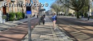 [P22] Amstredam, Stație de tramvai Rijksmuseum, plecam spre cazare după călătoria cu barca.... » foto by mprofeanu
 - 
<span class="allrVoted glyphicon glyphicon-heart hidden" id="av1479581"></span>
<a class="m-l-10 hidden" id="sv1479581" onclick="voting_Foto_DelVot(,1479581,1639)" role="button">șterge vot <span class="glyphicon glyphicon-remove"></span></a>
<a id="v91479581" class=" c-red"  onclick="voting_Foto_SetVot(1479581)" role="button"><span class="glyphicon glyphicon-heart-empty"></span> <b>LIKE</b> = Votează poza</a> <img class="hidden"  id="f1479581W9" src="/imagini/loader.gif" border="0" /><span class="AjErrMes hidden" id="e1479581ErM"></span>