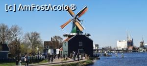 [P10] Zaanse Schans, Moara de condimente „Gospodarul” - Specerijenmolen „De Huisman” » foto by mprofeanu
 - 
<span class="allrVoted glyphicon glyphicon-heart hidden" id="av1515063"></span>
<a class="m-l-10 hidden" id="sv1515063" onclick="voting_Foto_DelVot(,1515063,1639)" role="button">șterge vot <span class="glyphicon glyphicon-remove"></span></a>
<a id="v91515063" class=" c-red"  onclick="voting_Foto_SetVot(1515063)" role="button"><span class="glyphicon glyphicon-heart-empty"></span> <b>LIKE</b> = Votează poza</a> <img class="hidden"  id="f1515063W9" src="/imagini/loader.gif" border="0" /><span class="AjErrMes hidden" id="e1515063ErM"></span>