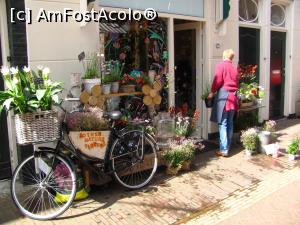 [P21] strada din Haarlem. Se vede ca locuitorii iubesc florile » foto by Radu Tudoran
 - 
<span class="allrVoted glyphicon glyphicon-heart hidden" id="av746645"></span>
<a class="m-l-10 hidden" id="sv746645" onclick="voting_Foto_DelVot(,746645,1639)" role="button">șterge vot <span class="glyphicon glyphicon-remove"></span></a>
<a id="v9746645" class=" c-red"  onclick="voting_Foto_SetVot(746645)" role="button"><span class="glyphicon glyphicon-heart-empty"></span> <b>LIKE</b> = Votează poza</a> <img class="hidden"  id="f746645W9" src="/imagini/loader.gif" border="0" /><span class="AjErrMes hidden" id="e746645ErM"></span>