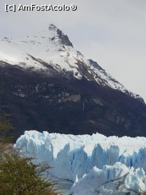 [P26] ghețarul Perito Moreno » foto by robert
 - 
<span class="allrVoted glyphicon glyphicon-heart hidden" id="av1023325"></span>
<a class="m-l-10 hidden" id="sv1023325" onclick="voting_Foto_DelVot(,1023325,1650)" role="button">șterge vot <span class="glyphicon glyphicon-remove"></span></a>
<a id="v91023325" class=" c-red"  onclick="voting_Foto_SetVot(1023325)" role="button"><span class="glyphicon glyphicon-heart-empty"></span> <b>LIKE</b> = Votează poza</a> <img class="hidden"  id="f1023325W9" src="/imagini/loader.gif" border="0" /><span class="AjErrMes hidden" id="e1023325ErM"></span>