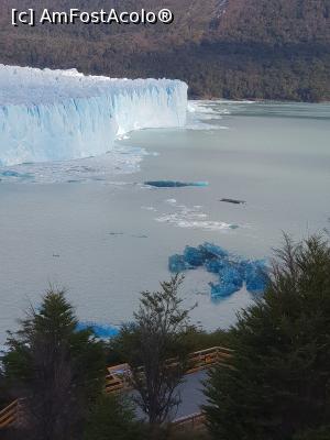 [P05] ghețarul Perito Moreno » foto by robert
 - 
<span class="allrVoted glyphicon glyphicon-heart hidden" id="av1023291"></span>
<a class="m-l-10 hidden" id="sv1023291" onclick="voting_Foto_DelVot(,1023291,1650)" role="button">șterge vot <span class="glyphicon glyphicon-remove"></span></a>
<a id="v91023291" class=" c-red"  onclick="voting_Foto_SetVot(1023291)" role="button"><span class="glyphicon glyphicon-heart-empty"></span> <b>LIKE</b> = Votează poza</a> <img class="hidden"  id="f1023291W9" src="/imagini/loader.gif" border="0" /><span class="AjErrMes hidden" id="e1023291ErM"></span>