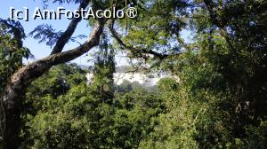 [P25]  -- <small>// FĂRĂ DESCRIERE</small> » foto by elenaadina
 - 
<span class="allrVoted glyphicon glyphicon-heart hidden" id="av1517719"></span>
<a class="m-l-10 hidden" id="sv1517719" onclick="voting_Foto_DelVot(,1517719,1653)" role="button">șterge vot <span class="glyphicon glyphicon-remove"></span></a>
<a id="v91517719" class=" c-red"  onclick="voting_Foto_SetVot(1517719)" role="button"><span class="glyphicon glyphicon-heart-empty"></span> <b>LIKE</b> = Votează poza</a> <img class="hidden"  id="f1517719W9" src="/imagini/loader.gif" border="0" /><span class="AjErrMes hidden" id="e1517719ErM"></span>