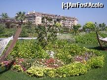 [P03] Gradina complexului, foarte frumoasa si in acelasi timp ingrijita....un plus pentru administratori » foto by laurdan
 - 
<span class="allrVoted glyphicon glyphicon-heart hidden" id="av127956"></span>
<a class="m-l-10 hidden" id="sv127956" onclick="voting_Foto_DelVot(,127956,1683)" role="button">șterge vot <span class="glyphicon glyphicon-remove"></span></a>
<a id="v9127956" class=" c-red"  onclick="voting_Foto_SetVot(127956)" role="button"><span class="glyphicon glyphicon-heart-empty"></span> <b>LIKE</b> = Votează poza</a> <img class="hidden"  id="f127956W9" src="/imagini/loader.gif" border="0" /><span class="AjErrMes hidden" id="e127956ErM"></span>