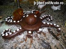 [P04] Caracatita dulce » foto by claudiu 71
 - 
<span class="allrVoted glyphicon glyphicon-heart hidden" id="av78375"></span>
<a class="m-l-10 hidden" id="sv78375" onclick="voting_Foto_DelVot(,78375,1683)" role="button">șterge vot <span class="glyphicon glyphicon-remove"></span></a>
<a id="v978375" class=" c-red"  onclick="voting_Foto_SetVot(78375)" role="button"><span class="glyphicon glyphicon-heart-empty"></span> <b>LIKE</b> = Votează poza</a> <img class="hidden"  id="f78375W9" src="/imagini/loader.gif" border="0" /><span class="AjErrMes hidden" id="e78375ErM"></span>