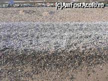 [P01] plaja hotelului iulie 2010 » foto by lorry*
 - 
<span class="allrVoted glyphicon glyphicon-heart hidden" id="av94709"></span>
<a class="m-l-10 hidden" id="sv94709" onclick="voting_Foto_DelVot(,94709,1683)" role="button">șterge vot <span class="glyphicon glyphicon-remove"></span></a>
<a id="v994709" class=" c-red"  onclick="voting_Foto_SetVot(94709)" role="button"><span class="glyphicon glyphicon-heart-empty"></span> <b>LIKE</b> = Votează poza</a> <img class="hidden"  id="f94709W9" src="/imagini/loader.gif" border="0" /><span class="AjErrMes hidden" id="e94709ErM"></span>