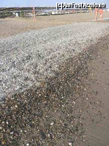 [P04]  -- <small>// FĂRĂ DESCRIERE</small> » foto by lorry*
 - 
<span class="allrVoted glyphicon glyphicon-heart hidden" id="av94714"></span>
<a class="m-l-10 hidden" id="sv94714" onclick="voting_Foto_DelVot(,94714,1683)" role="button">șterge vot <span class="glyphicon glyphicon-remove"></span></a>
<a id="v994714" class=" c-red"  onclick="voting_Foto_SetVot(94714)" role="button"><span class="glyphicon glyphicon-heart-empty"></span> <b>LIKE</b> = Votează poza</a> <img class="hidden"  id="f94714W9" src="/imagini/loader.gif" border="0" /><span class="AjErrMes hidden" id="e94714ErM"></span>