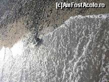 [P06]  -- <small>// FĂRĂ DESCRIERE</small> » foto by lorry*
 - 
<span class="allrVoted glyphicon glyphicon-heart hidden" id="av94741"></span>
<a class="m-l-10 hidden" id="sv94741" onclick="voting_Foto_DelVot(,94741,1683)" role="button">șterge vot <span class="glyphicon glyphicon-remove"></span></a>
<a id="v994741" class=" c-red"  onclick="voting_Foto_SetVot(94741)" role="button"><span class="glyphicon glyphicon-heart-empty"></span> <b>LIKE</b> = Votează poza</a> <img class="hidden"  id="f94741W9" src="/imagini/loader.gif" border="0" /><span class="AjErrMes hidden" id="e94741ErM"></span>