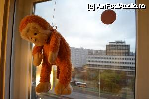 [P55] Cand ne-am intors la hotel... we found that Vasilică, our pet monkey, commited suicide... Paris was too much for him.  :) » foto by TraianS
 - 
<span class="allrVoted glyphicon glyphicon-heart hidden" id="av480390"></span>
<a class="m-l-10 hidden" id="sv480390" onclick="voting_Foto_DelVot(,480390,1684)" role="button">șterge vot <span class="glyphicon glyphicon-remove"></span></a>
<a id="v9480390" class=" c-red"  onclick="voting_Foto_SetVot(480390)" role="button"><span class="glyphicon glyphicon-heart-empty"></span> <b>LIKE</b> = Votează poza</a> <img class="hidden"  id="f480390W9" src="/imagini/loader.gif" border="0" /><span class="AjErrMes hidden" id="e480390ErM"></span>