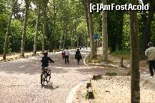 [P13] Parisul..sportiv din Bois de Boulogne » foto by liviadavidescu
 - 
<span class="allrVoted glyphicon glyphicon-heart hidden" id="av152135"></span>
<a class="m-l-10 hidden" id="sv152135" onclick="voting_Foto_DelVot(,152135,1684)" role="button">șterge vot <span class="glyphicon glyphicon-remove"></span></a>
<a id="v9152135" class=" c-red"  onclick="voting_Foto_SetVot(152135)" role="button"><span class="glyphicon glyphicon-heart-empty"></span> <b>LIKE</b> = Votează poza</a> <img class="hidden"  id="f152135W9" src="/imagini/loader.gif" border="0" /><span class="AjErrMes hidden" id="e152135ErM"></span>