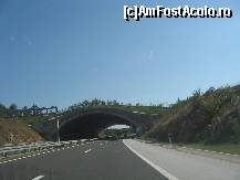 [P02] Trecere peste autostrada pentru animalele salbatice » foto by Cristo
 - 
<span class="allrVoted glyphicon glyphicon-heart hidden" id="av252431"></span>
<a class="m-l-10 hidden" id="sv252431" onclick="voting_Foto_DelVot(,252431,1711)" role="button">șterge vot <span class="glyphicon glyphicon-remove"></span></a>
<a id="v9252431" class=" c-red"  onclick="voting_Foto_SetVot(252431)" role="button"><span class="glyphicon glyphicon-heart-empty"></span> <b>LIKE</b> = Votează poza</a> <img class="hidden"  id="f252431W9" src="/imagini/loader.gif" border="0" /><span class="AjErrMes hidden" id="e252431ErM"></span>