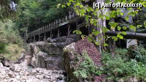 [P06] Seisenberg Klamm - aducțiunea de apă a joagărului, de la ieșirea din chei » foto by Dragoș_MD
 - 
<span class="allrVoted glyphicon glyphicon-heart hidden" id="av382029"></span>
<a class="m-l-10 hidden" id="sv382029" onclick="voting_Foto_DelVot(,382029,1732)" role="button">șterge vot <span class="glyphicon glyphicon-remove"></span></a>
<a id="v9382029" class=" c-red"  onclick="voting_Foto_SetVot(382029)" role="button"><span class="glyphicon glyphicon-heart-empty"></span> <b>LIKE</b> = Votează poza</a> <img class="hidden"  id="f382029W9" src="/imagini/loader.gif" border="0" /><span class="AjErrMes hidden" id="e382029ErM"></span>