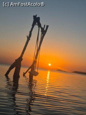 [P03]  -- <small>// FĂRĂ DESCRIERE</small> » foto by IuliaE
 - 
<span class="allrVoted glyphicon glyphicon-heart hidden" id="av1504697"></span>
<a class="m-l-10 hidden" id="sv1504697" onclick="voting_Foto_DelVot(,1504697,1773)" role="button">șterge vot <span class="glyphicon glyphicon-remove"></span></a>
<a id="v91504697" class=" c-red"  onclick="voting_Foto_SetVot(1504697)" role="button"><span class="glyphicon glyphicon-heart-empty"></span> <b>LIKE</b> = Votează poza</a> <img class="hidden"  id="f1504697W9" src="/imagini/loader.gif" border="0" /><span class="AjErrMes hidden" id="e1504697ErM"></span>