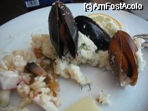 [P25] Scoici si salata de paste cu creveti.Atat mi-am pus eu in farfurie. » foto by Zoazore
 - 
<span class="allrVoted glyphicon glyphicon-heart hidden" id="av333682"></span>
<a class="m-l-10 hidden" id="sv333682" onclick="voting_Foto_DelVot(,333682,1849)" role="button">șterge vot <span class="glyphicon glyphicon-remove"></span></a>
<a id="v9333682" class=" c-red"  onclick="voting_Foto_SetVot(333682)" role="button"><span class="glyphicon glyphicon-heart-empty"></span> <b>LIKE</b> = Votează poza</a> <img class="hidden"  id="f333682W9" src="/imagini/loader.gif" border="0" /><span class="AjErrMes hidden" id="e333682ErM"></span>