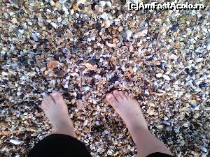 [P03] Pe țărm vei găsi multe scoici, dar sunt atât de tocite de mare, încît poate merge și un copil desculț peste ele. Dacă nu îți plac ia în considerare acest aspect.  » foto by amalia80
 - 
<span class="allrVoted glyphicon glyphicon-heart hidden" id="av648321"></span>
<a class="m-l-10 hidden" id="sv648321" onclick="voting_Foto_DelVot(,648321,1869)" role="button">șterge vot <span class="glyphicon glyphicon-remove"></span></a>
<a id="v9648321" class=" c-red"  onclick="voting_Foto_SetVot(648321)" role="button"><span class="glyphicon glyphicon-heart-empty"></span> <b>LIKE</b> = Votează poza</a> <img class="hidden"  id="f648321W9" src="/imagini/loader.gif" border="0" /><span class="AjErrMes hidden" id="e648321ErM"></span>