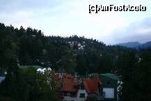 [P05] Sinaia, dincolo de cuvinte..peisajul e cu adevarat unic » foto by liviadavidescu
 - 
<span class="allrVoted glyphicon glyphicon-heart hidden" id="av143442"></span>
<a class="m-l-10 hidden" id="sv143442" onclick="voting_Foto_DelVot(,143442,1916)" role="button">șterge vot <span class="glyphicon glyphicon-remove"></span></a>
<a id="v9143442" class=" c-red"  onclick="voting_Foto_SetVot(143442)" role="button"><span class="glyphicon glyphicon-heart-empty"></span> <b>LIKE</b> = Votează poza</a> <img class="hidden"  id="f143442W9" src="/imagini/loader.gif" border="0" /><span class="AjErrMes hidden" id="e143442ErM"></span>