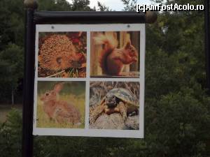[P40] Duni Royal Resort, Belleville Hotel - din fauna locului » foto by Dragoș_MD
 - 
<span class="allrVoted glyphicon glyphicon-heart hidden" id="av643033"></span>
<a class="m-l-10 hidden" id="sv643033" onclick="voting_Foto_DelVot(,643033,1929)" role="button">șterge vot <span class="glyphicon glyphicon-remove"></span></a>
<a id="v9643033" class=" c-red"  onclick="voting_Foto_SetVot(643033)" role="button"><span class="glyphicon glyphicon-heart-empty"></span> <b>LIKE</b> = Votează poza</a> <img class="hidden"  id="f643033W9" src="/imagini/loader.gif" border="0" /><span class="AjErrMes hidden" id="e643033ErM"></span>