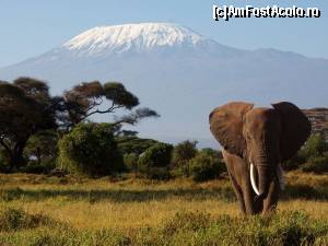 P08 [FEB-2015] Kilimanjaro