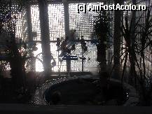 [P24] Perla Hotel - jacuzzi si piscinele interioare, partea dreapta » foto by sunflower
 - 
<span class="allrVoted glyphicon glyphicon-heart hidden" id="av310168"></span>
<a class="m-l-10 hidden" id="sv310168" onclick="voting_Foto_DelVot(,310168,2014)" role="button">șterge vot <span class="glyphicon glyphicon-remove"></span></a>
<a id="v9310168" class=" c-red"  onclick="voting_Foto_SetVot(310168)" role="button"><span class="glyphicon glyphicon-heart-empty"></span> <b>LIKE</b> = Votează poza</a> <img class="hidden"  id="f310168W9" src="/imagini/loader.gif" border="0" /><span class="AjErrMes hidden" id="e310168ErM"></span>