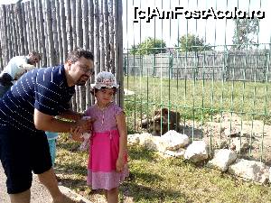 [P16] la zoo in oradea » foto by florinvalentin
 - 
<span class="allrVoted glyphicon glyphicon-heart hidden" id="av667243"></span>
<a class="m-l-10 hidden" id="sv667243" onclick="voting_Foto_DelVot(,667243,2019)" role="button">șterge vot <span class="glyphicon glyphicon-remove"></span></a>
<a id="v9667243" class=" c-red"  onclick="voting_Foto_SetVot(667243)" role="button"><span class="glyphicon glyphicon-heart-empty"></span> <b>LIKE</b> = Votează poza</a> <img class="hidden"  id="f667243W9" src="/imagini/loader.gif" border="0" /><span class="AjErrMes hidden" id="e667243ErM"></span>