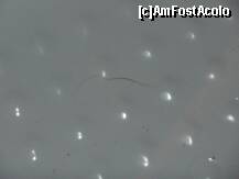 [P05] cabina de dus - 'impecabila', doar ca era sparta in cateva locuri » foto by misterfantastic
 - 
<span class="allrVoted glyphicon glyphicon-heart hidden" id="av122652"></span>
<a class="m-l-10 hidden" id="sv122652" onclick="voting_Foto_DelVot(,122652,2141)" role="button">șterge vot <span class="glyphicon glyphicon-remove"></span></a>
<a id="v9122652" class=" c-red"  onclick="voting_Foto_SetVot(122652)" role="button"><span class="glyphicon glyphicon-heart-empty"></span> <b>LIKE</b> = Votează poza</a> <img class="hidden"  id="f122652W9" src="/imagini/loader.gif" border="0" /><span class="AjErrMes hidden" id="e122652ErM"></span>