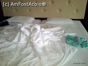 [P05] Grija pentru detalii a menajerei » foto by georgetoader
 - 
<span class="allrVoted glyphicon glyphicon-heart hidden" id="av790718"></span>
<a class="m-l-10 hidden" id="sv790718" onclick="voting_Foto_DelVot(,790718,2141)" role="button">șterge vot <span class="glyphicon glyphicon-remove"></span></a>
<a id="v9790718" class=" c-red"  onclick="voting_Foto_SetVot(790718)" role="button"><span class="glyphicon glyphicon-heart-empty"></span> <b>LIKE</b> = Votează poza</a> <img class="hidden"  id="f790718W9" src="/imagini/loader.gif" border="0" /><span class="AjErrMes hidden" id="e790718ErM"></span>