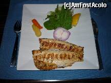 [P130] CDC - A La Carte - Restaurantul Piscis, felul doi, file de peste la gratar. » foto by Horia
 - 
<span class="allrVoted glyphicon glyphicon-heart hidden" id="av152344"></span>
<a class="m-l-10 hidden" id="sv152344" onclick="voting_Foto_DelVot(,152344,2171)" role="button">șterge vot <span class="glyphicon glyphicon-remove"></span></a>
<a id="v9152344" class=" c-red"  onclick="voting_Foto_SetVot(152344)" role="button"><span class="glyphicon glyphicon-heart-empty"></span> <b>LIKE</b> = Votează poza</a> <img class="hidden"  id="f152344W9" src="/imagini/loader.gif" border="0" /><span class="AjErrMes hidden" id="e152344ErM"></span>