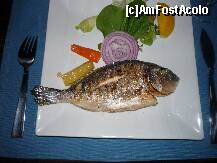 [P131] CDC - A La Carte - Restaurantul Piscis, felul doi, peste la gratar. » foto by Horia
 - 
<span class="allrVoted glyphicon glyphicon-heart hidden" id="av152345"></span>
<a class="m-l-10 hidden" id="sv152345" onclick="voting_Foto_DelVot(,152345,2171)" role="button">șterge vot <span class="glyphicon glyphicon-remove"></span></a>
<a id="v9152345" class=" c-red"  onclick="voting_Foto_SetVot(152345)" role="button"><span class="glyphicon glyphicon-heart-empty"></span> <b>LIKE</b> = Votează poza</a> <img class="hidden"  id="f152345W9" src="/imagini/loader.gif" border="0" /><span class="AjErrMes hidden" id="e152345ErM"></span>