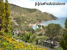 [P37] palmieri, iarba , flori, maslini ca la gradina botanica... » foto by michele
 - 
<span class="allrVoted glyphicon glyphicon-heart hidden" id="av79493"></span>
<a class="m-l-10 hidden" id="sv79493" onclick="voting_Foto_DelVot(,79493,2171)" role="button">șterge vot <span class="glyphicon glyphicon-remove"></span></a>
<a id="v979493" class=" c-red"  onclick="voting_Foto_SetVot(79493)" role="button"><span class="glyphicon glyphicon-heart-empty"></span> <b>LIKE</b> = Votează poza</a> <img class="hidden"  id="f79493W9" src="/imagini/loader.gif" border="0" /><span class="AjErrMes hidden" id="e79493ErM"></span>