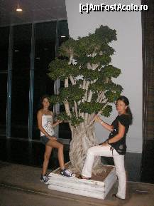 [P02] eu  cu ..pitica dupa  o  noapte turceasca .... » foto by kouklakys*
 - 
<span class="allrVoted glyphicon glyphicon-heart hidden" id="av91758"></span>
<a class="m-l-10 hidden" id="sv91758" onclick="voting_Foto_DelVot(,91758,2171)" role="button">șterge vot <span class="glyphicon glyphicon-remove"></span></a>
<a id="v991758" class=" c-red"  onclick="voting_Foto_SetVot(91758)" role="button"><span class="glyphicon glyphicon-heart-empty"></span> <b>LIKE</b> = Votează poza</a> <img class="hidden"  id="f91758W9" src="/imagini/loader.gif" border="0" /><span class="AjErrMes hidden" id="e91758ErM"></span>