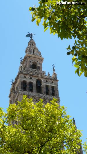 [P13] La Giralda, turnul semeţ al Catedralei din Sevilla » foto by iuliaen
 - 
<span class="allrVoted glyphicon glyphicon-heart hidden" id="av551429"></span>
<a class="m-l-10 hidden" id="sv551429" onclick="voting_Foto_DelVot(,551429,2251)" role="button">șterge vot <span class="glyphicon glyphicon-remove"></span></a>
<a id="v9551429" class=" c-red"  onclick="voting_Foto_SetVot(551429)" role="button"><span class="glyphicon glyphicon-heart-empty"></span> <b>LIKE</b> = Votează poza</a> <img class="hidden"  id="f551429W9" src="/imagini/loader.gif" border="0" /><span class="AjErrMes hidden" id="e551429ErM"></span>