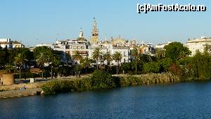 [P06] La Giralda de pe malurile râului Guadalquivir.  » foto by iuliaen
 - 
<span class="allrVoted glyphicon glyphicon-heart hidden" id="av551405"></span>
<a class="m-l-10 hidden" id="sv551405" onclick="voting_Foto_DelVot(,551405,2251)" role="button">șterge vot <span class="glyphicon glyphicon-remove"></span></a>
<a id="v9551405" class=" c-red"  onclick="voting_Foto_SetVot(551405)" role="button"><span class="glyphicon glyphicon-heart-empty"></span> <b>LIKE</b> = Votează poza</a> <img class="hidden"  id="f551405W9" src="/imagini/loader.gif" border="0" /><span class="AjErrMes hidden" id="e551405ErM"></span>