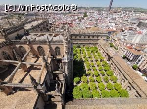 [P27] Curtea cu portocali din Turnul Giralda.  » foto by Aurici
 - 
<span class="allrVoted glyphicon glyphicon-heart hidden" id="av1093176"></span>
<a class="m-l-10 hidden" id="sv1093176" onclick="voting_Foto_DelVot(,1093176,2251)" role="button">șterge vot <span class="glyphicon glyphicon-remove"></span></a>
<a id="v91093176" class=" c-red"  onclick="voting_Foto_SetVot(1093176)" role="button"><span class="glyphicon glyphicon-heart-empty"></span> <b>LIKE</b> = Votează poza</a> <img class="hidden"  id="f1093176W9" src="/imagini/loader.gif" border="0" /><span class="AjErrMes hidden" id="e1093176ErM"></span>