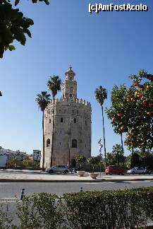 [P41] Torre del Oro » foto by Costi
 - 
<span class="allrVoted glyphicon glyphicon-heart hidden" id="av196112"></span>
<a class="m-l-10 hidden" id="sv196112" onclick="voting_Foto_DelVot(,196112,2251)" role="button">șterge vot <span class="glyphicon glyphicon-remove"></span></a>
<a id="v9196112" class=" c-red"  onclick="voting_Foto_SetVot(196112)" role="button"><span class="glyphicon glyphicon-heart-empty"></span> <b>LIKE</b> = Votează poza</a> <img class="hidden"  id="f196112W9" src="/imagini/loader.gif" border="0" /><span class="AjErrMes hidden" id="e196112ErM"></span>