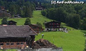 [P02] Case și pajiști montane la intrarea în satul Grindelwald din Alpii Bernezi, Elveția.  » foto by traian.leuca †
 - 
<span class="allrVoted glyphicon glyphicon-heart hidden" id="av594820"></span>
<a class="m-l-10 hidden" id="sv594820" onclick="voting_Foto_DelVot(,594820,2252)" role="button">șterge vot <span class="glyphicon glyphicon-remove"></span></a>
<a id="v9594820" class=" c-red"  onclick="voting_Foto_SetVot(594820)" role="button"><span class="glyphicon glyphicon-heart-empty"></span> <b>LIKE</b> = Votează poza</a> <img class="hidden"  id="f594820W9" src="/imagini/loader.gif" border="0" /><span class="AjErrMes hidden" id="e594820ErM"></span>