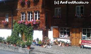 [P05] În fața unui magazin central din satul Grindelwald din Alpii Bernezi, Elveția.  » foto by traian.leuca †
 - 
<span class="allrVoted glyphicon glyphicon-heart hidden" id="av594823"></span>
<a class="m-l-10 hidden" id="sv594823" onclick="voting_Foto_DelVot(,594823,2252)" role="button">șterge vot <span class="glyphicon glyphicon-remove"></span></a>
<a id="v9594823" class=" c-red"  onclick="voting_Foto_SetVot(594823)" role="button"><span class="glyphicon glyphicon-heart-empty"></span> <b>LIKE</b> = Votează poza</a> <img class="hidden"  id="f594823W9" src="/imagini/loader.gif" border="0" /><span class="AjErrMes hidden" id="e594823ErM"></span>