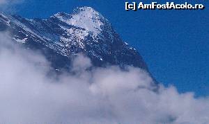 [P07] Peretele nordic al muntelui Eiger văzut din zona centrală a satului Grindelwald din Alpii Bernezi, Elveția.  » foto by traian.leuca †
 - 
<span class="allrVoted glyphicon glyphicon-heart hidden" id="av594825"></span>
<a class="m-l-10 hidden" id="sv594825" onclick="voting_Foto_DelVot(,594825,2252)" role="button">șterge vot <span class="glyphicon glyphicon-remove"></span></a>
<a id="v9594825" class=" c-red"  onclick="voting_Foto_SetVot(594825)" role="button"><span class="glyphicon glyphicon-heart-empty"></span> <b>LIKE</b> = Votează poza</a> <img class="hidden"  id="f594825W9" src="/imagini/loader.gif" border="0" /><span class="AjErrMes hidden" id="e594825ErM"></span>