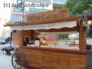 [P03] gelateria din fata hotelului » foto by Yolanda
 - 
<span class="allrVoted glyphicon glyphicon-heart hidden" id="av1104881"></span>
<a class="m-l-10 hidden" id="sv1104881" onclick="voting_Foto_DelVot(,1104881,2289)" role="button">șterge vot <span class="glyphicon glyphicon-remove"></span></a>
<a id="v91104881" class=" c-red"  onclick="voting_Foto_SetVot(1104881)" role="button"><span class="glyphicon glyphicon-heart-empty"></span> <b>LIKE</b> = Votează poza</a> <img class="hidden"  id="f1104881W9" src="/imagini/loader.gif" border="0" /><span class="AjErrMes hidden" id="e1104881ErM"></span>