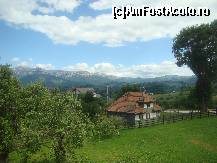 [P04]  -- <small>// FĂRĂ DESCRIERE</small> » foto by catalin072007
 - 
<span class="allrVoted glyphicon glyphicon-heart hidden" id="av214455"></span>
<a class="m-l-10 hidden" id="sv214455" onclick="voting_Foto_DelVot(,214455,2305)" role="button">șterge vot <span class="glyphicon glyphicon-remove"></span></a>
<a id="v9214455" class=" c-red"  onclick="voting_Foto_SetVot(214455)" role="button"><span class="glyphicon glyphicon-heart-empty"></span> <b>LIKE</b> = Votează poza</a> <img class="hidden"  id="f214455W9" src="/imagini/loader.gif" border="0" /><span class="AjErrMes hidden" id="e214455ErM"></span>