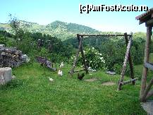 [P09]  -- <small>// FĂRĂ DESCRIERE</small> » foto by catalin072007
 - 
<span class="allrVoted glyphicon glyphicon-heart hidden" id="av214460"></span>
<a class="m-l-10 hidden" id="sv214460" onclick="voting_Foto_DelVot(,214460,2305)" role="button">șterge vot <span class="glyphicon glyphicon-remove"></span></a>
<a id="v9214460" class=" c-red"  onclick="voting_Foto_SetVot(214460)" role="button"><span class="glyphicon glyphicon-heart-empty"></span> <b>LIKE</b> = Votează poza</a> <img class="hidden"  id="f214460W9" src="/imagini/loader.gif" border="0" /><span class="AjErrMes hidden" id="e214460ErM"></span>