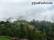 [P05] Dimineata dupa ploaie.. » foto by nicolaie iulian
 - 
<span class="allrVoted glyphicon glyphicon-heart hidden" id="av232202"></span>
<a class="m-l-10 hidden" id="sv232202" onclick="voting_Foto_DelVot(,232202,2305)" role="button">șterge vot <span class="glyphicon glyphicon-remove"></span></a>
<a id="v9232202" class=" c-red"  onclick="voting_Foto_SetVot(232202)" role="button"><span class="glyphicon glyphicon-heart-empty"></span> <b>LIKE</b> = Votează poza</a> <img class="hidden"  id="f232202W9" src="/imagini/loader.gif" border="0" /><span class="AjErrMes hidden" id="e232202ErM"></span>