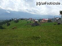 [P11] Sat Pestera » foto by Nicoleta M.
 - 
<span class="allrVoted glyphicon glyphicon-heart hidden" id="av233853"></span>
<a class="m-l-10 hidden" id="sv233853" onclick="voting_Foto_DelVot(,233853,2305)" role="button">șterge vot <span class="glyphicon glyphicon-remove"></span></a>
<a id="v9233853" class=" c-red"  onclick="voting_Foto_SetVot(233853)" role="button"><span class="glyphicon glyphicon-heart-empty"></span> <b>LIKE</b> = Votează poza</a> <img class="hidden"  id="f233853W9" src="/imagini/loader.gif" border="0" /><span class="AjErrMes hidden" id="e233853ErM"></span>