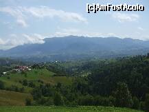 [P13] Sat Pestera » foto by Nicoleta M.
 - 
<span class="allrVoted glyphicon glyphicon-heart hidden" id="av233857"></span>
<a class="m-l-10 hidden" id="sv233857" onclick="voting_Foto_DelVot(,233857,2305)" role="button">șterge vot <span class="glyphicon glyphicon-remove"></span></a>
<a id="v9233857" class=" c-red"  onclick="voting_Foto_SetVot(233857)" role="button"><span class="glyphicon glyphicon-heart-empty"></span> <b>LIKE</b> = Votează poza</a> <img class="hidden"  id="f233857W9" src="/imagini/loader.gif" border="0" /><span class="AjErrMes hidden" id="e233857ErM"></span>