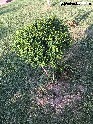 [P26]  -- <small>// FĂRĂ DESCRIERE</small> » foto by Dan&Ema
 - 
<span class="allrVoted glyphicon glyphicon-heart hidden" id="av656376"></span>
<a class="m-l-10 hidden" id="sv656376" onclick="voting_Foto_DelVot(,656376,2305)" role="button">șterge vot <span class="glyphicon glyphicon-remove"></span></a>
<a id="v9656376" class=" c-red"  onclick="voting_Foto_SetVot(656376)" role="button"><span class="glyphicon glyphicon-heart-empty"></span> <b>LIKE</b> = Votează poza</a> <img class="hidden"  id="f656376W9" src="/imagini/loader.gif" border="0" /><span class="AjErrMes hidden" id="e656376ErM"></span>