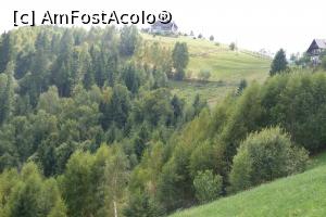 [P19] satul Pestera » foto by Iulianaursu1
 - 
<span class="allrVoted glyphicon glyphicon-heart hidden" id="av782661"></span>
<a class="m-l-10 hidden" id="sv782661" onclick="voting_Foto_DelVot(,782661,2305)" role="button">șterge vot <span class="glyphicon glyphicon-remove"></span></a>
<a id="v9782661" class=" c-red"  onclick="voting_Foto_SetVot(782661)" role="button"><span class="glyphicon glyphicon-heart-empty"></span> <b>LIKE</b> = Votează poza</a> <img class="hidden"  id="f782661W9" src="/imagini/loader.gif" border="0" /><span class="AjErrMes hidden" id="e782661ErM"></span>